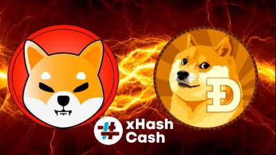 ai.ibb.co_nrM5jsd_DOGE_SHIB.jpg