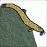 dragon123wer